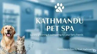 Professional Dog Grooming in Kathmandu | Before & After Transformation | Pet Spa kathmadnu nepal