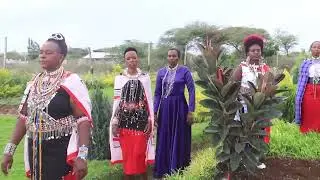 TEE EMIRISHOI