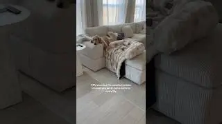 Мне так повезло! #золотистыйретривер