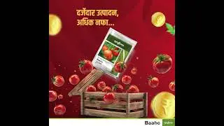 Baaho Product Video Marathi | Syngenta