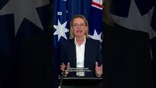 Coalition reunited after last-minute deal | ABC NEWS