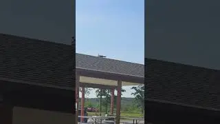 it was a bird