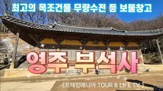 《트레킹매니아 TOUR & LIFE TV 》#경북 #영주시 의 대표 명소이자 고려시대 건축된 국내 최고의 목조건물인 #무량수전 등 다양한 보물의 보고인 #영주 #부석사 를 다녀오다