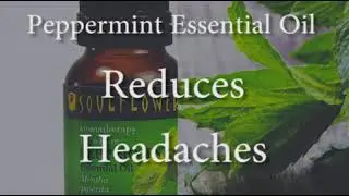 5 Super Essential Oils you must have