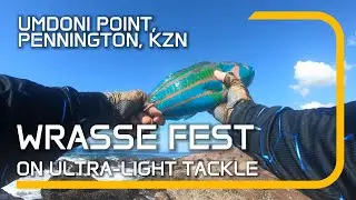 Umdoni Point   Wrasse Fest ON ULTRA LIGHT TACKLE in 4K #ultralightfishing #seafishing  #fishing