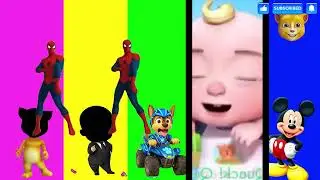 Wrong eyes👀 NEW EPISODES/ Sheriff Labrador x Rocky & BabyBoss Puzzle Wrong HeadsEYE PUZZLE WORLD