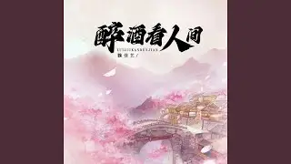 醉酒看人间