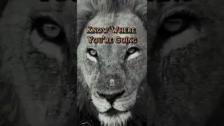 Stop Following Others &ndash; Walk Your Own Path #motivation #ytviral #shorts #mindset #WalkYourPath #Life