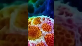 Ambient relax music #shorts #shortsvideo #music #space #ai