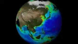Global Plankton Blooms