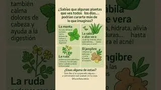 Plantas medicinales que tienes en casa&hellip; &iexcl;y no sab&iacute;as! #PlantasMedicinales #CuriosidadesNaturaleza