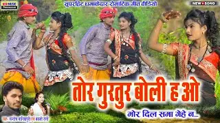 Santosh Manikpuri, Bablirani | Tor Gurtur Boli Ha Wo | तोर गुरुर बोली ह ओ | CG SONG VIDEO #NSRMUSIC