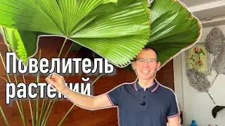 Александр Скосырь и его коллекция!