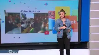 زفة جزائرية طريفة لعروسين مصريين وسط القاهرة - Follow Up