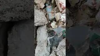 новая находка на заводе #красныймай #нашланазаводе. Копатель Оля в деле ❤️