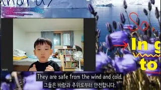 🌼🍎🥝Let's talk about 'Flowers, Fruits, and Seeds'!  #영어발표 #Speaking #최연소