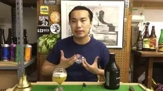 LIC Beer Project Party Crasher IPA (Amazing NYC IPA!) Review - Ep. #838