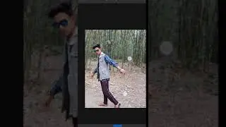 elephant photo editing . picsart elephant photo consept . animal photo Editing