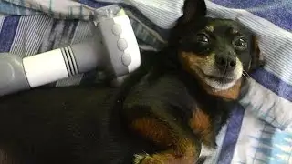 Fet&uacute;cia ganha massageador de Bumbunzin de Feta