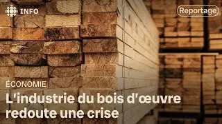 Exportation du bois : inqui&eacute;tudes dans l&rsquo;industrie foresti&egrave;re