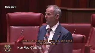 Rod Caddies defends children, mothers, and Western Australians against Labor's new surrogacy bill.