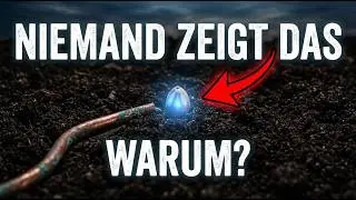 Samen mit Elektrizität schocken verdreifacht das Wachstum — Warum ist diese Wissenschaft 