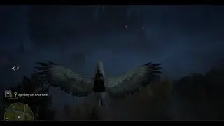 Hogwarts Legacy - Asa-Altiva