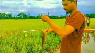 New Hook Fishing Video || Amazing Hook Fishing || HT Fishing Video ||