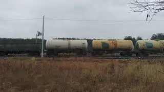 2тэ116 с грузовым поездом ходом с Серова на Приобье по третьему пути по станции Ивдель 1