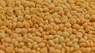 full frame loop rotating background of small dry orange cat food crockets