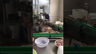 Automatic canned pork luncheon lunch meat filling and seaming machine