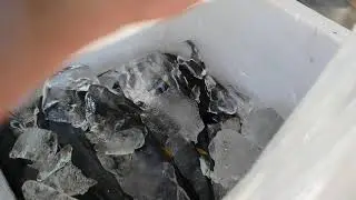 Sea Salt, Yellow Fin Tuna, Tuge Pampasalubong - Dasol Pangasinan