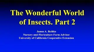 Entomology Part 2