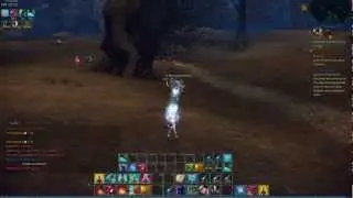 TERA - Elin Priest Gameplay 01 [Full HD] [1080p]