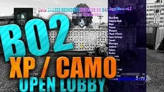 MODDED LOBBY XP LOBBY AND CAMOS  FREE  BO2  PS3 ROAD 3.5k