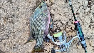 דיג XUL בירקון ומושט גדול🐟Fishing XUL in the Yarkon River and a big tilapia HE/EN Subs 4K