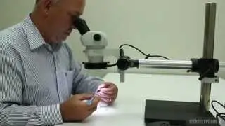 ELZ-P1 Medical Device Inspection Stereo Microscope Overview