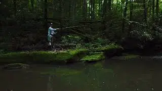 WEST VIRGINIA FLY FISHING- EURO NYMPHING FOR NATIVE BROOK TROUT