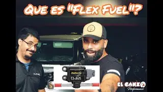 Que es el  