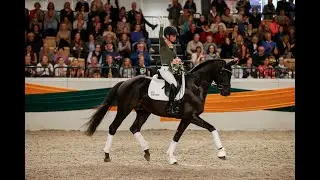 Prämienhengst Kwahu und Helen Langehanenberg auf dem Galaabend des Trakehner Hengstmarktes