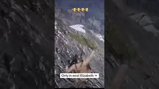 Most Loyal Horse In RDR2