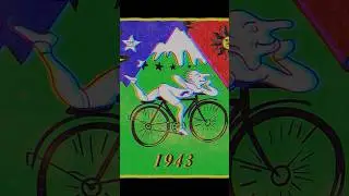 Back to the Beat &ndash; Inner Flash | LSD-Trip im Zoo 🐘⚡