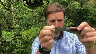 Adam Greenman showcases the Greenman Grafting Budding Knife