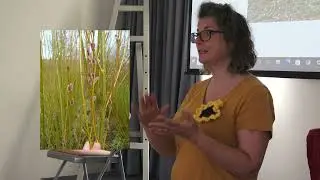 Pollinator Party Talks 3 - Sgyrsiau Parti Peillwyr: Justine Burgess, West Wales Willows