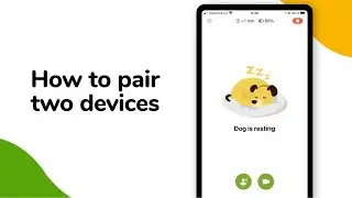 Barkio Academy: How to Pair Two Devices