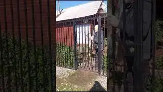 LOS PATRONES TALQUINOS SORPRENDIENDO AL SRTO JUAN EN EL DIA DEL PADRE, EN LINARES