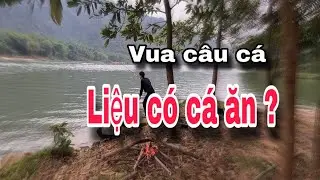 24h câu cá tự nhiên sinh tồn giữa trời mưa rét | Thủy Cháy