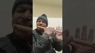 सरगम सुनिए #Double steps#self made flute sound
