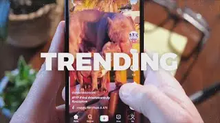 BestReviews' top trending products from CES