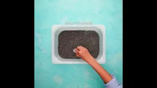 🎨 Fun DIY Projects to Entertain All Day! 🌟
